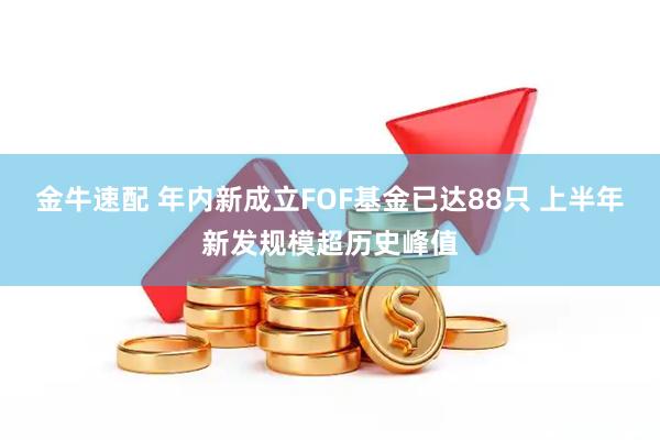 金牛速配 年内新成立FOF基金已达88只 上半年新发规模超历史峰值