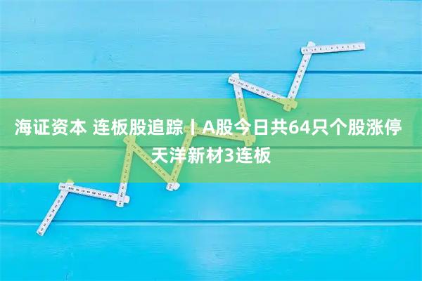 海证资本 连板股追踪丨A股今日共64只个股涨停 天洋新材3连板